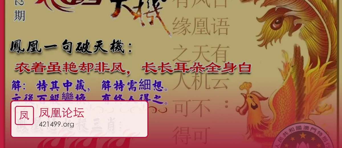凤凰论坛开场大图